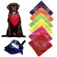 Collier bandana en cuir pour chien et chat, 1 pièce, bavoir triangulaire avec motif Paisley, accessoires pour chiot [47CEC43]-3