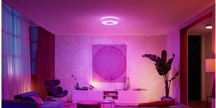 Ambiance hue discount