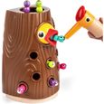Jeu Magnétique Montessori - Oiseau à Nourrir avec Insectes - Jouet Éducatif pour Enfant de 2 à 4 Ans-0
