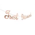 1 Ensemble Joyeux Anniversaire Juste Marie Mariage Banniere Guirlande Pour Bebe Douche F Modele Rose Gold Married Jbhfcdc096 Achat Vente Banderole Banniere Cdiscount 1 Ensemble Joyeux Anniversaire Juste Marie Mariage Banniere Guirlande Pour Bebe Douche F Modele Rose Gold Married Jbhfcdc096 Achat Vente Banderole Banniere Cdiscount