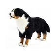 peluche bouvier bernois