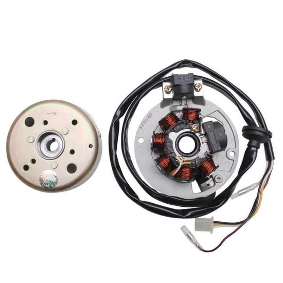 Stator + Rotor D'allumage 12 Pôles Pour Malaguti Centro 50 4T AC Euro 2 - Neuf