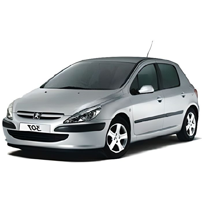 Pack LED Interieur Complet pour Peugeot 307 Phase 1 10pcs