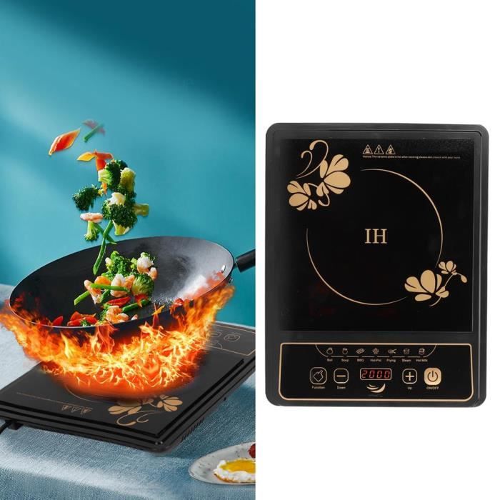 LesSaisons© Plaque de cuisson induction portable - cuisinière à induction avec appareil de cuisine à compte à rebours - 2000W - 29x3