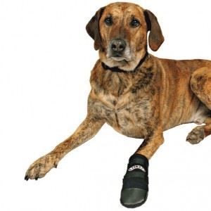 Trixie Bottes de protection Walker Care