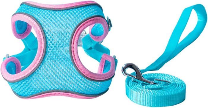 Harnais respirant pour chat et chien corde de Traction avec maille respirante réglable réfléchissant sans tension (bleu)