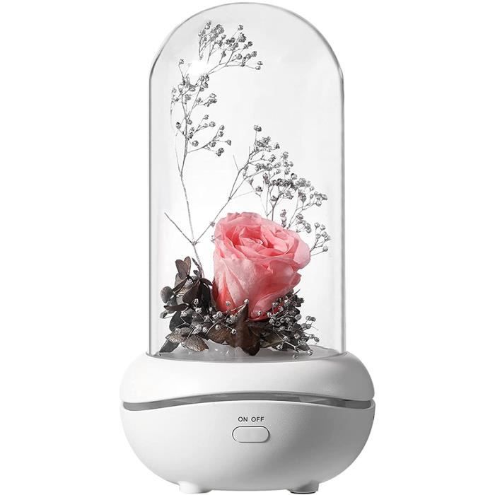Rose éternelle Sous Cloche Lumineuse DIDUDE - Inspiration Belle Et La Bête