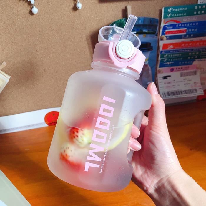 Gourde 1000ml Effet Givré - Avec Marqueur De Temps - Bouchon En Cuivre - Design Espace - Rose