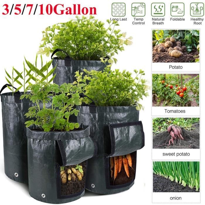 Pommes De Terre A Planter Achat Vente Pas Cher
