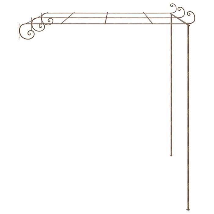 Arche de jardin vidaXL antique Fer forgé 3x3x2 5 Durable et élégant