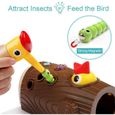 Jeu Magnétique Montessori - Oiseau à Nourrir avec Insectes - Jouet Éducatif pour Enfant de 2 à 4 Ans-1