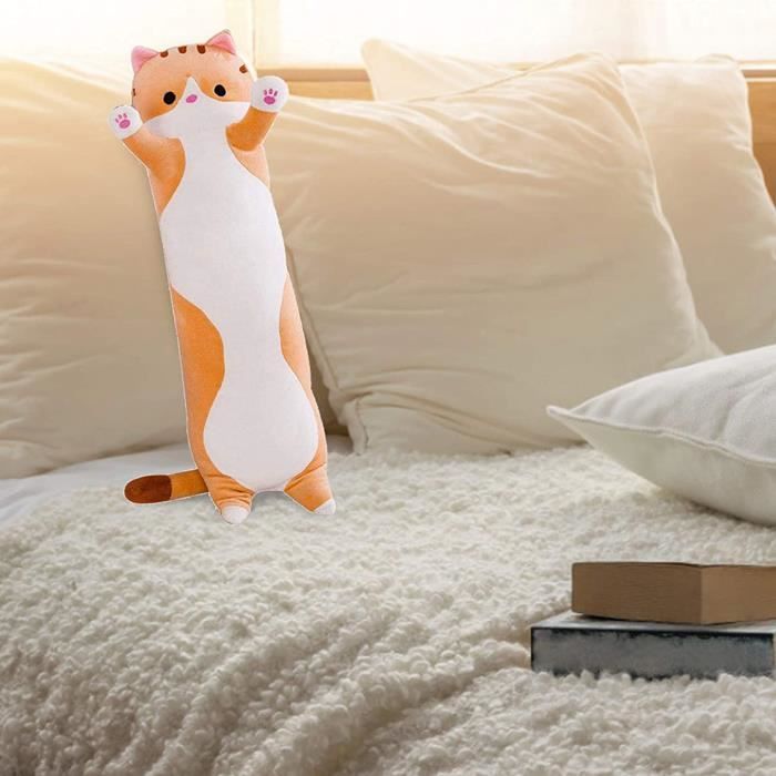 Quelle Peluche Choisir Pour Son Chat – RRRM