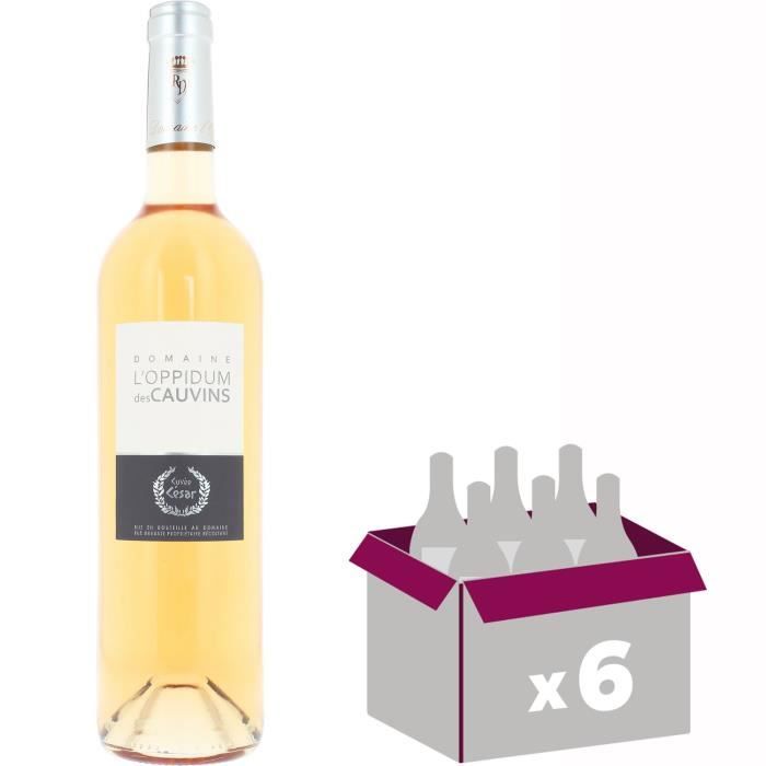 OPPIDUM DES CAUVINS Cuvée César - Rosé - 75 cl x6