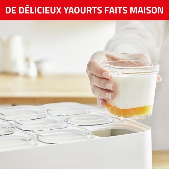 SEB Yaourtière 12pots 140 ml, Yaourts et desserts maison, 5