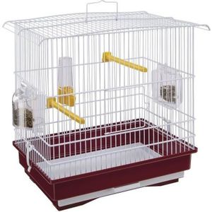 Petite Cage Oiseaux