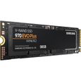 Disque SSD Interne - SAMSUNG - 970 EVO PLUS - 500Go - M.2 NVMe (MZ-V7S500BW)-0