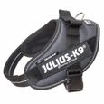 Julius K9 IDC Mini harnais pour chiens Anthracite 16IDC-ANT-M-0