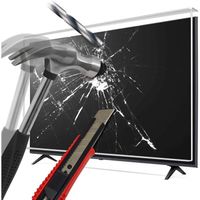 LEYF Écran de protection d'écran 140 (55 pouces) - Suspendu et fixe - Protection contre les dommages