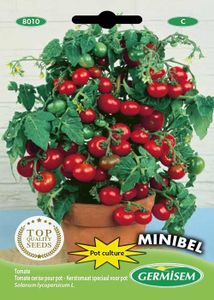 GRAINE - SEMENCE graines Tomate cerise pour pot MINIBEL.[Q250]