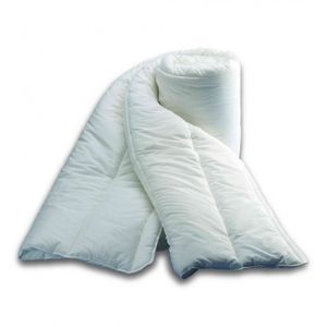 COUETTE Couette protection anti-acariens 140x200