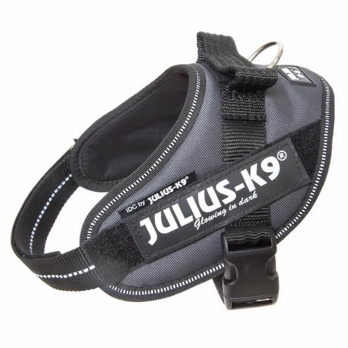 Julius K9 IDC Mini harnais pour chiens Anthracite 16IDC-ANT-M