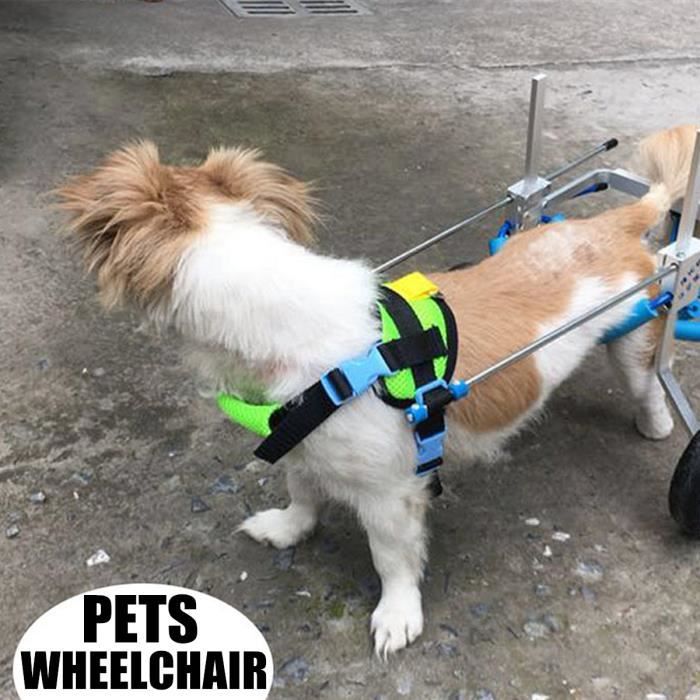 Animal Fauteuil Roulant à 2 Roulettes Corde de Traction Chariot Chien Chat Handicapé Postérieurs Auxiliaires Outil Marche Aide