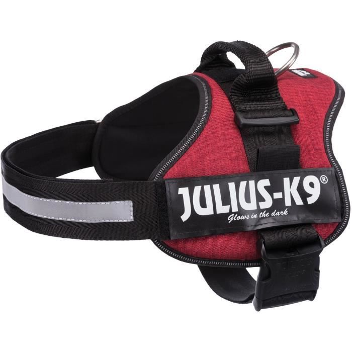JULIUS K9 Harnais Power 2–L–XL : 71–96 cm - 50 mm - Rouge bordeaux - Pour chien