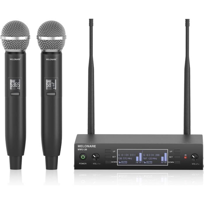 Système de microphone sans fil Système Pro UHF 2 micros dynamiques 100m ...