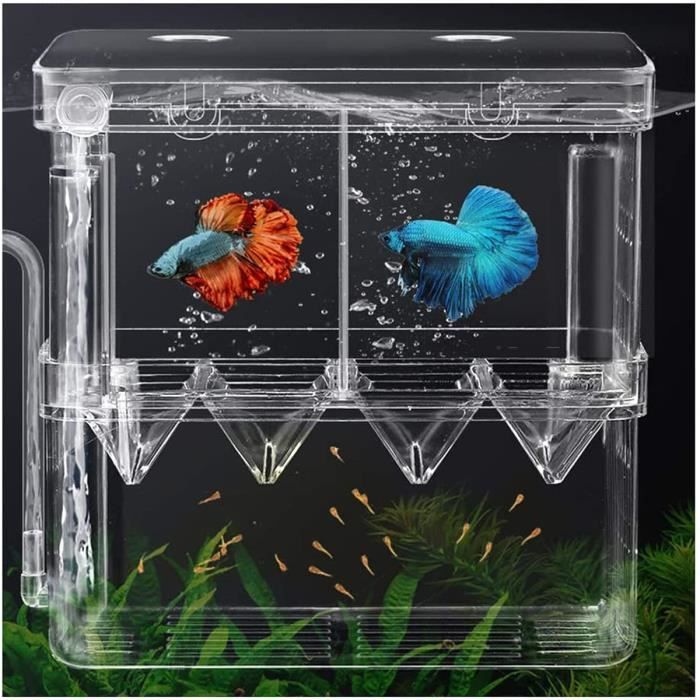 Boite D Elevage De Poisson Bebe Poisson Crevettes Ecloserie Boite D Isolement Filet Isolant Pour Aquariums Pour Guppy Poissons Tropi Cdiscount Animalerie