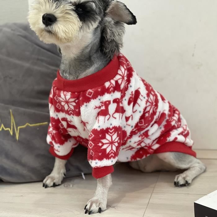 Cdiscount the north new arrivals face