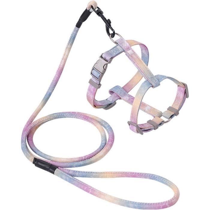 Ensemble De Harnais Pour Chien Stubbs – Racks Harnais, Neuf, Angleterre