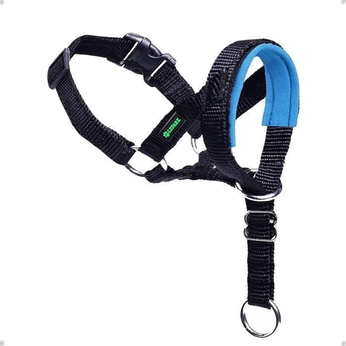 ILEPARK Licol pour Chien avec Sangle de sécurité, Harnais de tête pour Que Les Chiens arrêtent