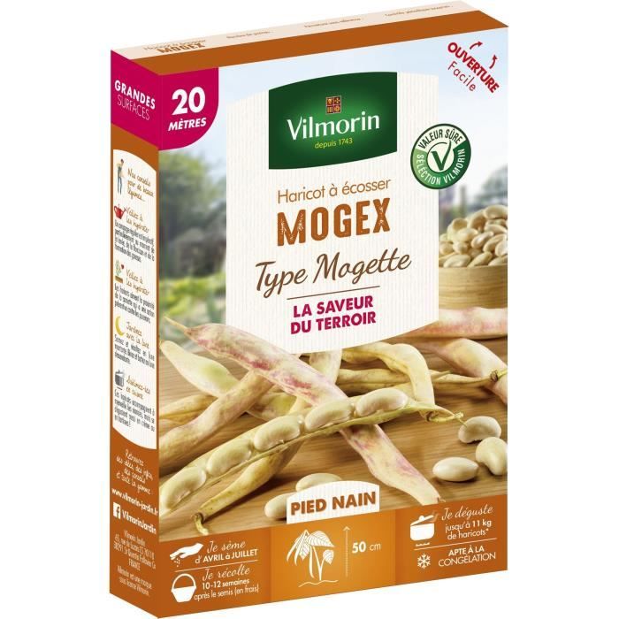 VILMORIN Graines de haricot mogex - 20 M