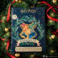 Calendrier de l'Avent Harry Potter 2022 - Licence officielle-Cinereplicas - 24 cadeaux exclusifs - Bleu - Mixte-2