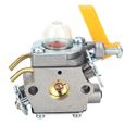 Zerone Carburateur pour C1U-H60 Kits de remplacement de carburateur pour Homelite / Poulan / Weedeater / Ryobi / Ryan / Lawnboy /-0