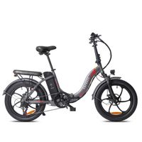 Vélo électrique Fafrees F20 Gris VTT 250W Batterie 36V 16Ah Portée de 80 km FAT BIKE 3.0*20 Pliage