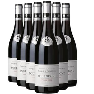 VIN ROUGE Bourgogne Pinot Noir Rouge 2020 - Lot de 6x75cl - 