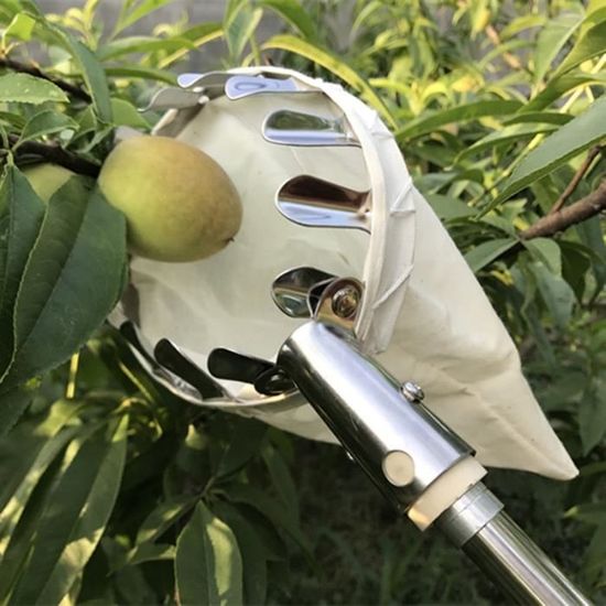 Cueilleur De Fruits En Métal Avec Sac Coton - Pour Pommes, Poires, Etc. - Sans Échelle, Léger Et Pratique