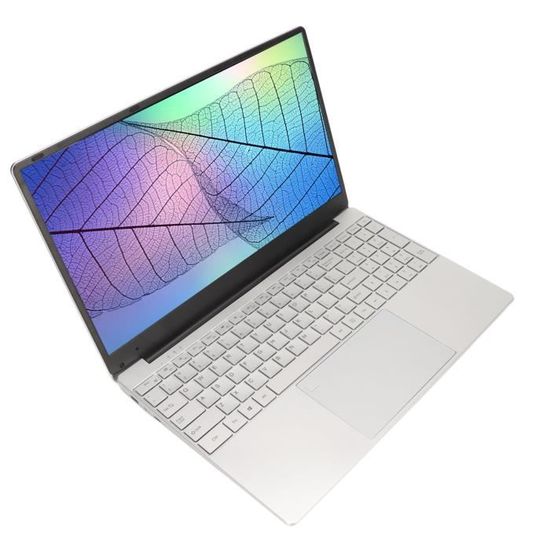 Duokon ordinateur portable 16 Go Ordinateur portable 15,6 pouces Argent 16 Go de RAM Écran IPS