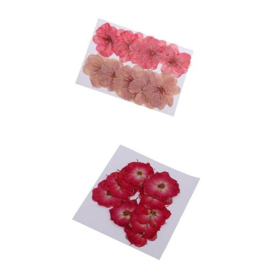 ifundom Lot de 30 feuilles de papier buvard absorbant pour presser les fleurs faites à la main