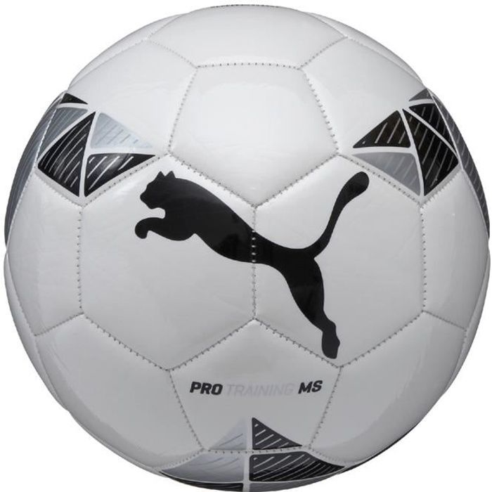 Ballon de football Puma Pro Training MS Ball