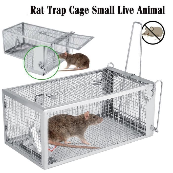froboo Rat Reaper - Piège à Rats à l'intérieur et à l'extérieur - Piège à  rongeurs - Coffre-Fort pour Enfants et Animaux de Compagnie (1 Paquet)