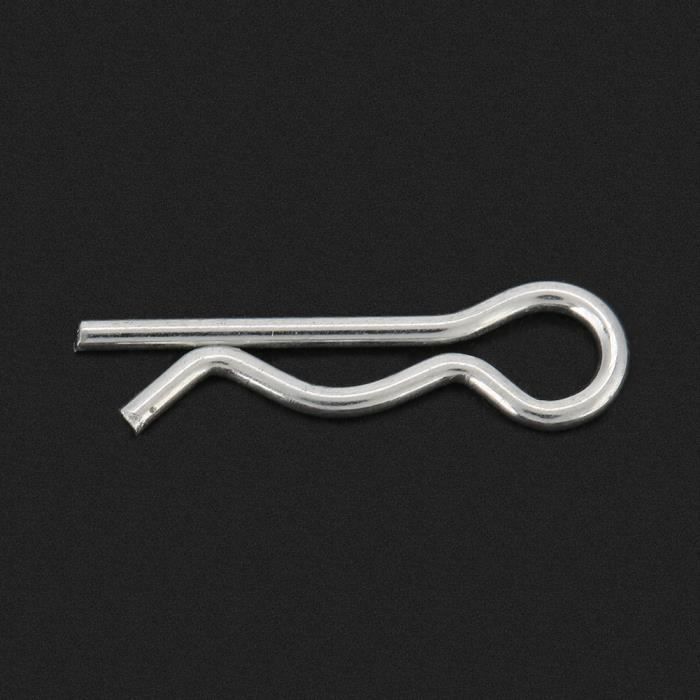 Vecteur De Punaise De Pin Illustration De Vecteur. Illustration Du