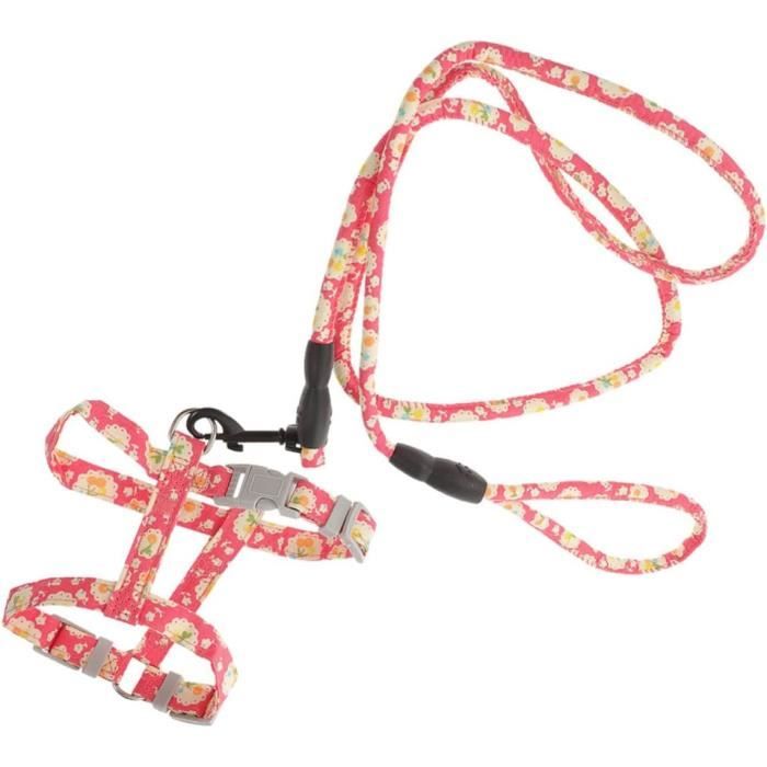 Harnais Pour Chat/chien AUYAO - Taille S/M - Maille Respirante, Réfléchissante - Anti-évasion Avec Laisse - 2