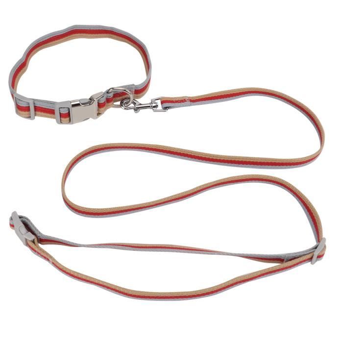 Collier 2 En 1 Pour Chien Avec Laisse Rétractable Intégrée - Taille Réglable 30-42 Cm, Laisse 100 Cm - Pour Petits Et Moyens Chiens