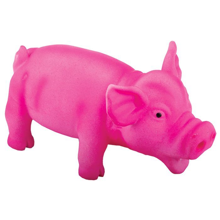 Cochon Latex Cdiscount