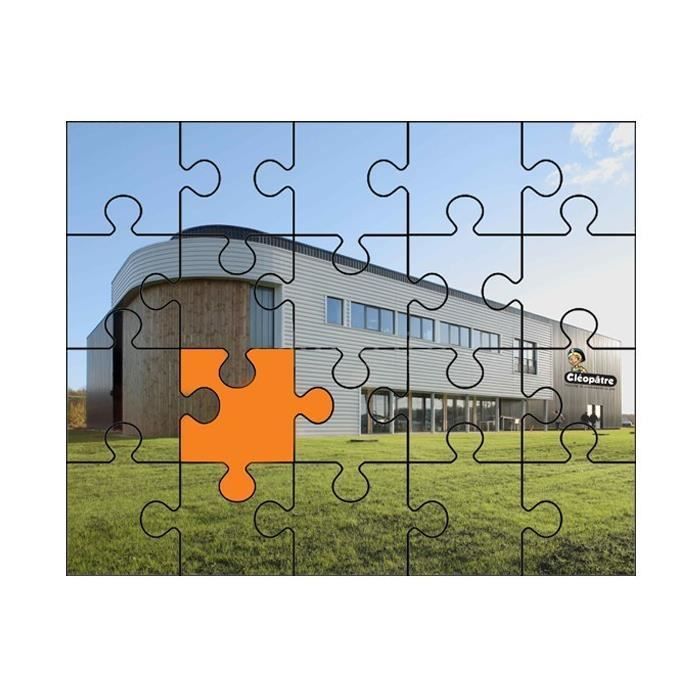 TINYOUTH Lot de 6 autocollants en forme de feuilles de puzzle pour 1000  pièces, sans colle, pas de désordre de puzzle, décoller et coller le puzzle  en
