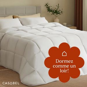 Couette Dreamzie 220x240 4 Saisons – 3 En 1, Légère + Chaude = 450g/m²
