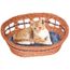 Qqggxx Maison De Chat En Rotin Nid Lit Chiot Doux Chaud Amovible Lit Panier A Gratter Pour Chiot Chien Petits Animaux Achat Vente Corbeille Coussin Qqggxx Maison De Chat En Cdiscount