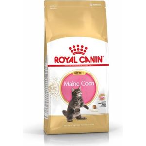 CROQUETTES Royal Canin - Maine Coon Kitten - 2 kg